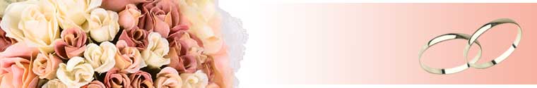 Header Graphic